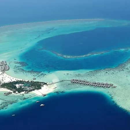 Constance Moofushi-3